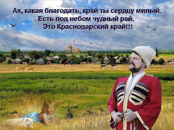 Кубань казачий край картина