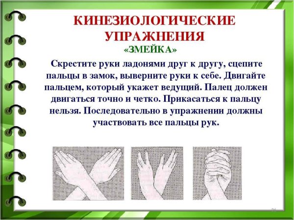 Кинезиологические упражнения для детей школьного возраста