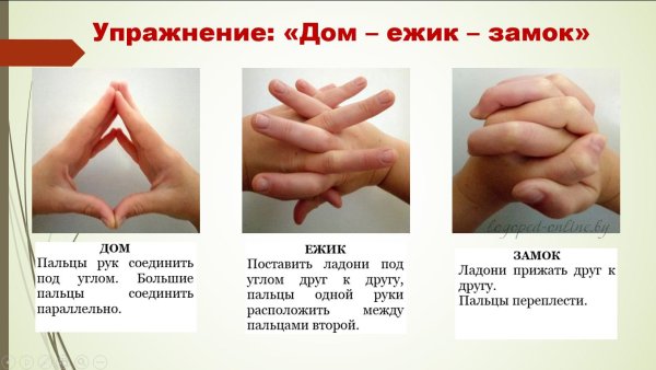 Кинезиологические пальчиковые упражнения для дошкольников