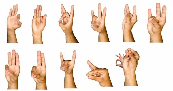 Пальчиковая гимнастика для мозга