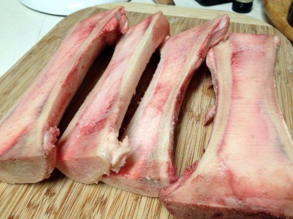 Костный мозгьчеловека