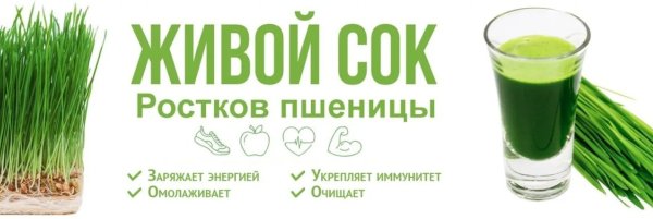 Витграсс сок из ростков пшеницы