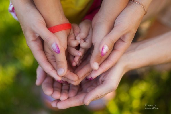 Ладони семьи