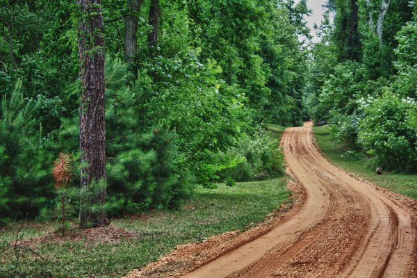 Лесистая автотрасса
