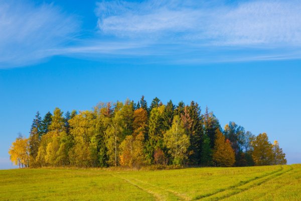 Лесостепи,Луга Орловщины