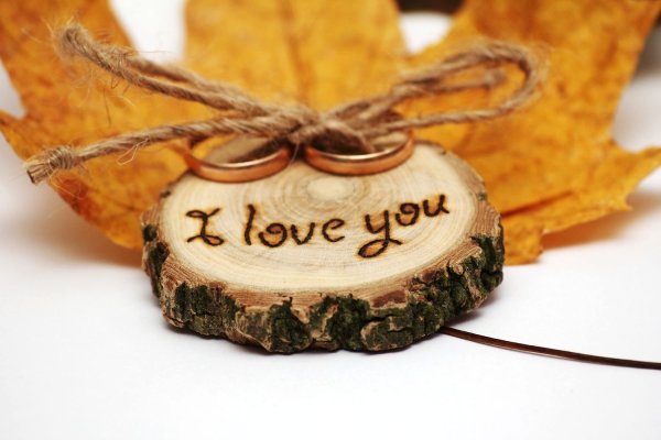 Срез дерева