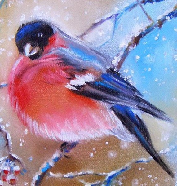 Снегирь рисунок