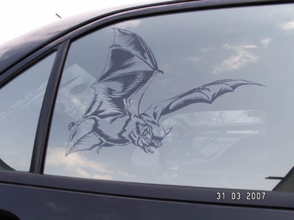 Арт тонировка стекол автомобиля