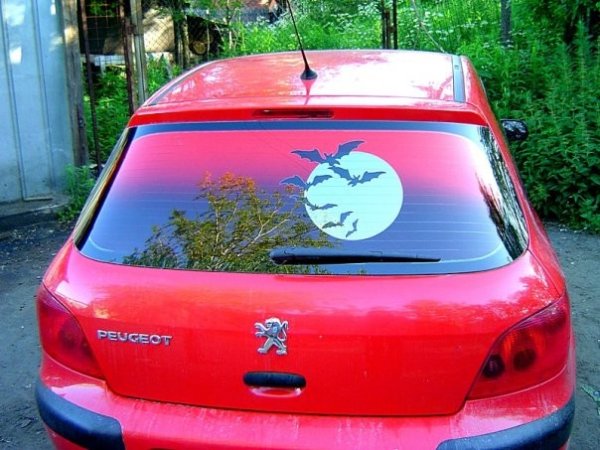 Тонировка с рисунком на заднее