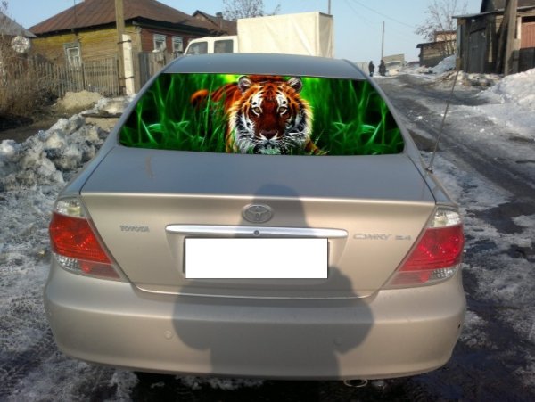 Тонировка заднего стекла автомобиля