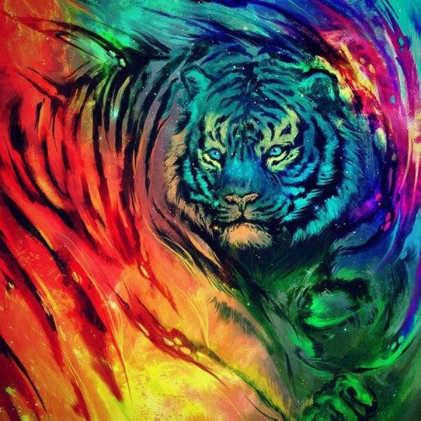 Картинки тигр цветной (48 фото)