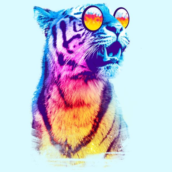 Тигр рисунок