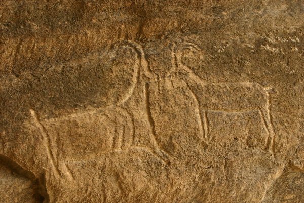 Гобустан Азербайджан наскальные рисунки