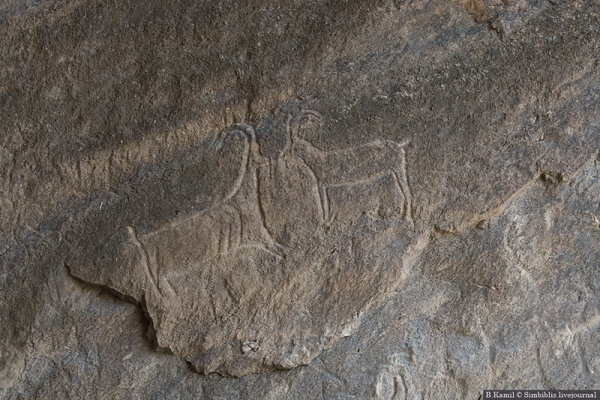 Заповедник Гобустан наскальные рисунки