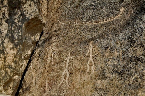 Заповедник Гобустан наскальные рисунки