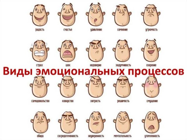 Виды эмоций человека