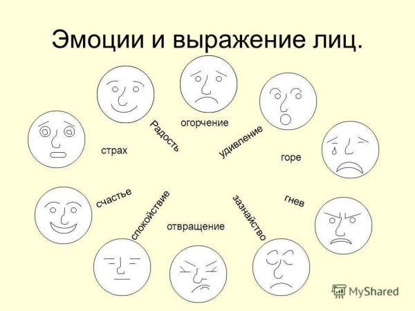 Эмоции и чувства