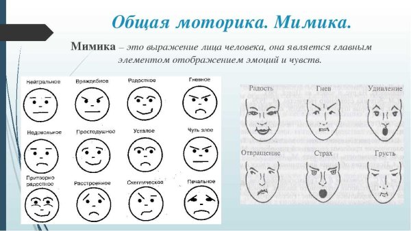 Мимика лица психология человека