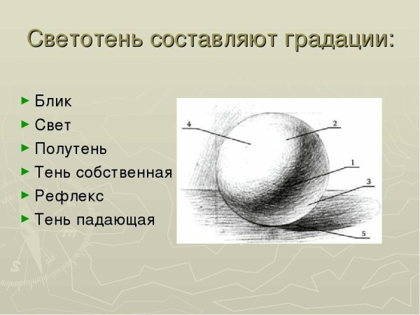 Градации светотени в рисунке