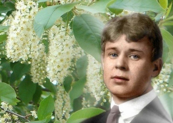 Сергей Александрович Есенин черемуха