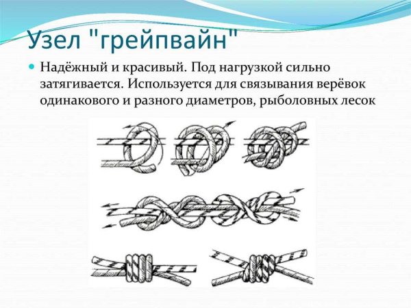 Узел проводник с контрольным узлом