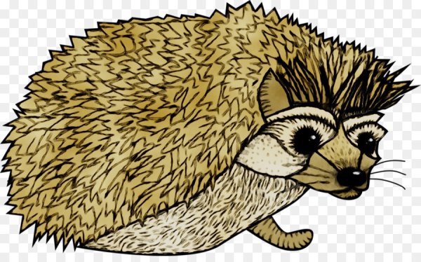 Ёжик картинки для детей нарисованные