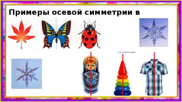Симметричные предметы в природе