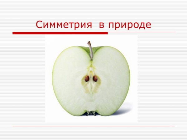Предметы с осевой симметрией