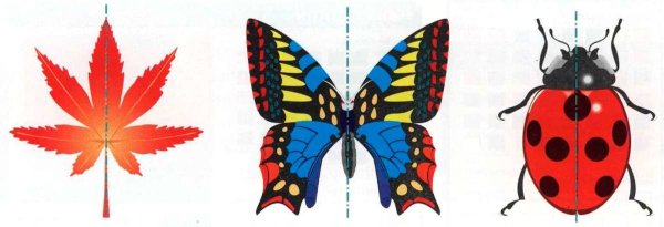 Центрально симметричные предметы