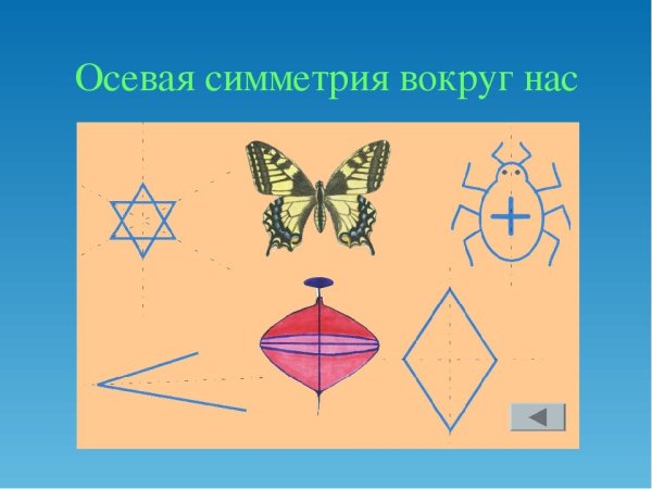 Симметрия в природе