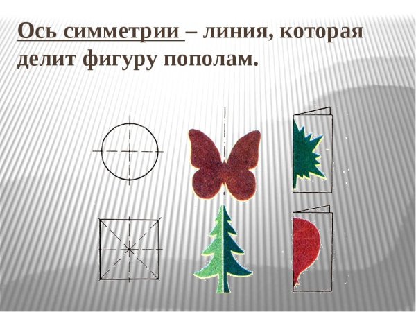 Симметричные предметы