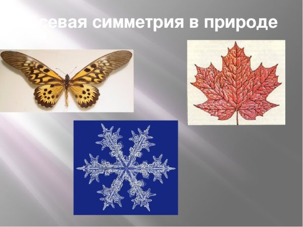 Симметричные фигуры