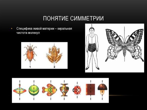 Симметричные предметы