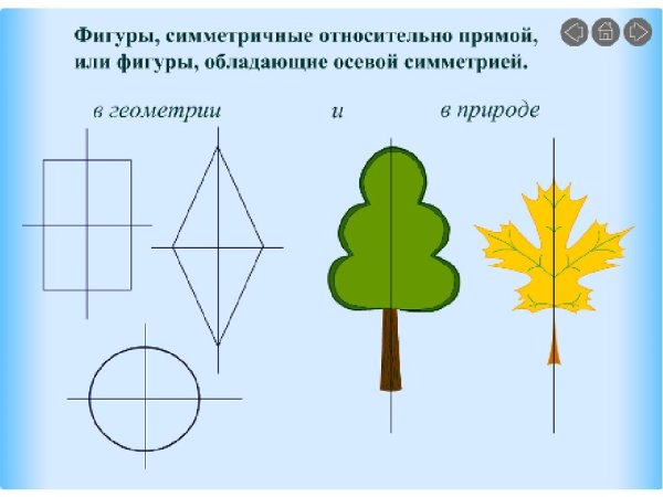 Симметричные фигуры рисунки