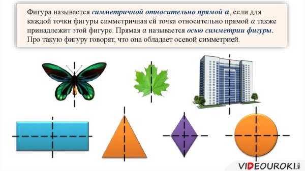 Симметрия вокруг нас