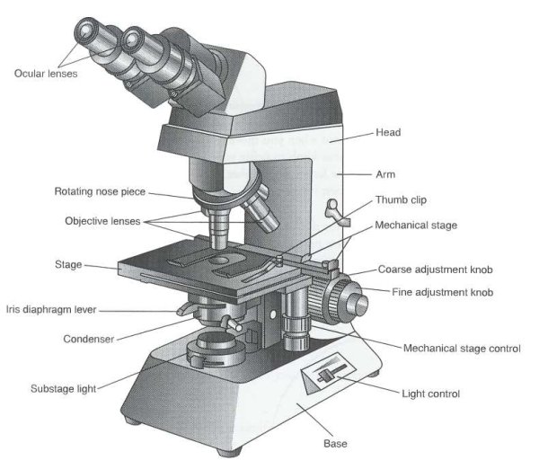 Микроскоп схема Abbe