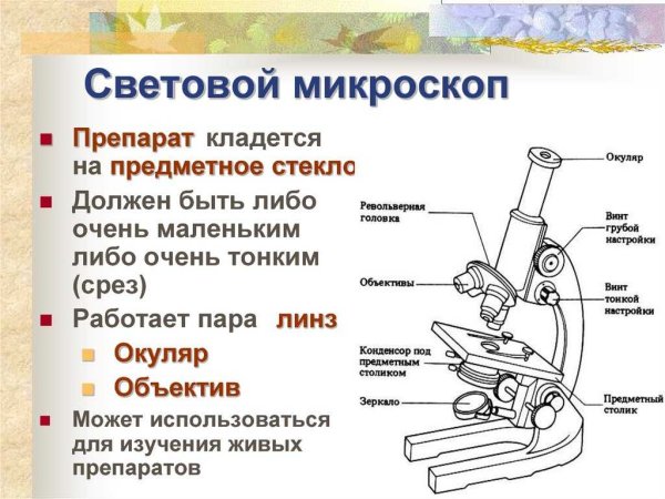 Микроскоп вид сбоку чертеж