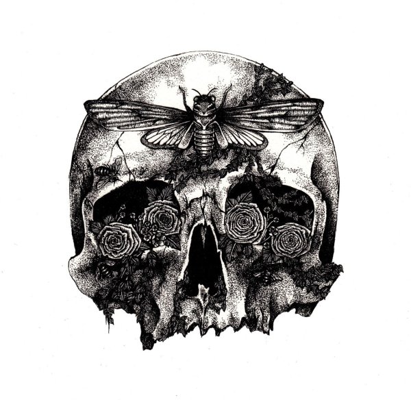 Череп эскиз