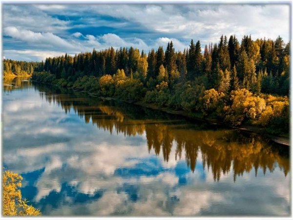 Река Седью Республика Коми