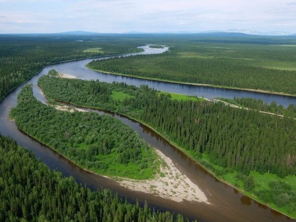 Река Ижма Республика Коми
