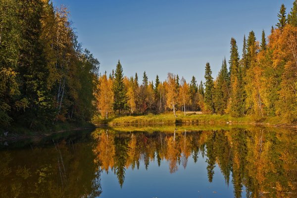 Река Печора осень Республика Коми