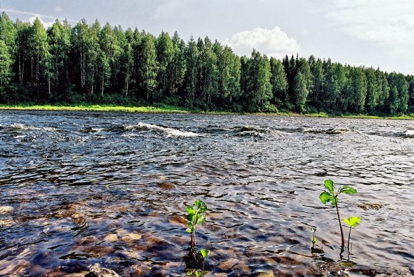 Республика Коми природа