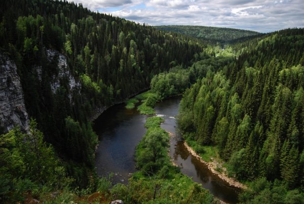 Река Вижай