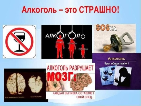 Здоровый образ жизни алкоголь