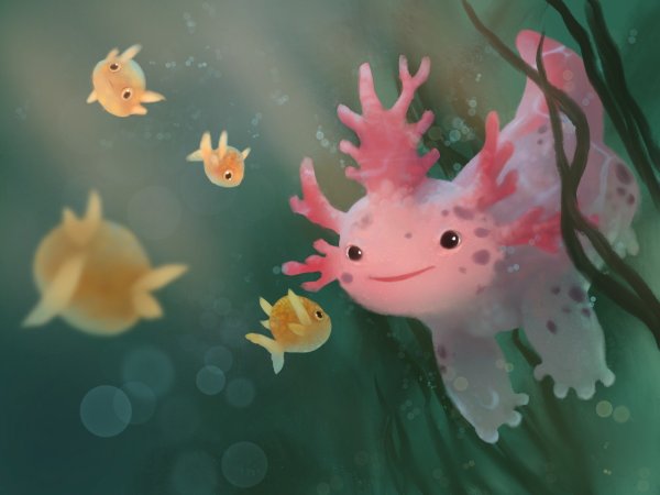 Милые аксолотли