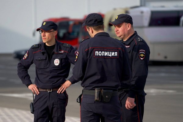 Полиция России