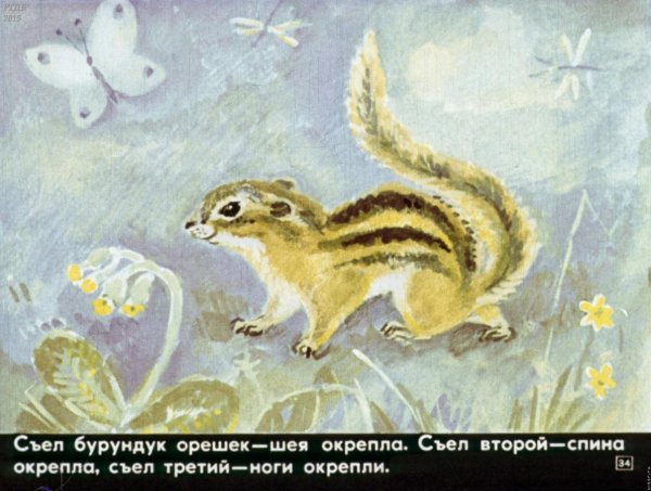 Кетская сказка медведь и бурундук