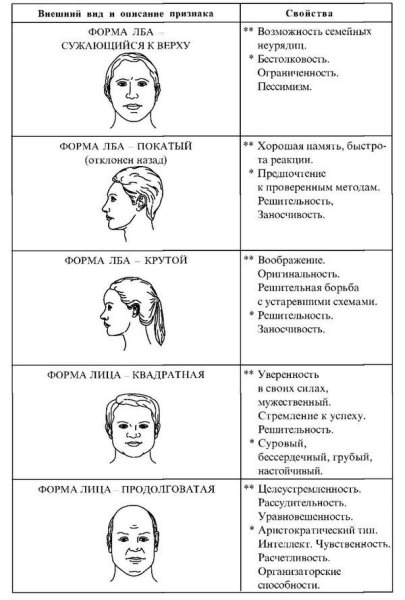 Физиогномика как читать человека по лицу