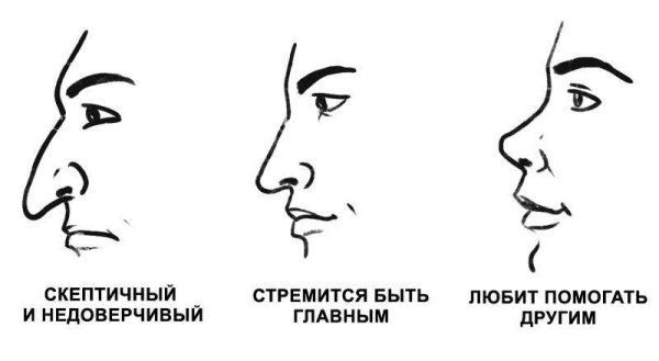 Физиогномика картинки