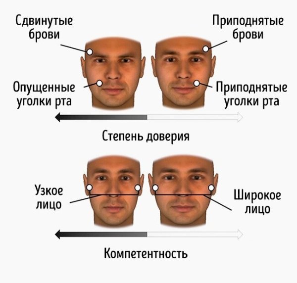 Хитрые черты лица